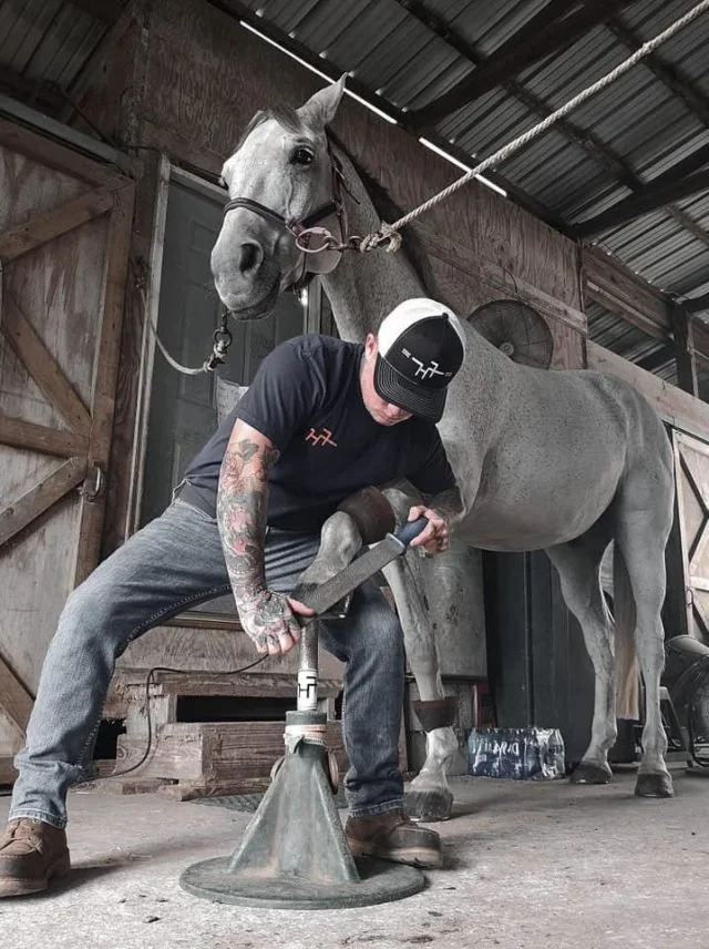 Farrier caring for a horse&rsquo;s hoof